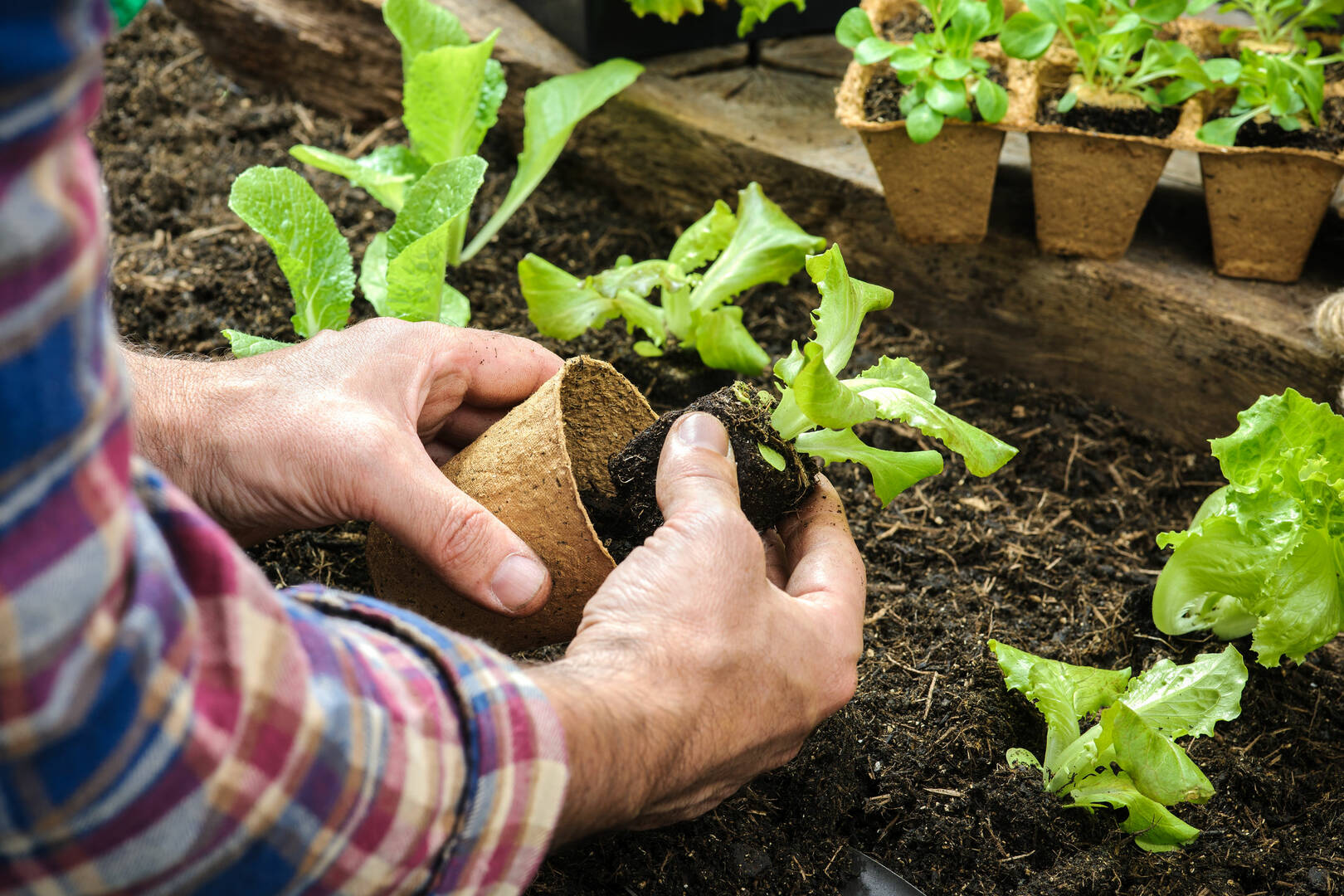 Tampa Bay Pest Management