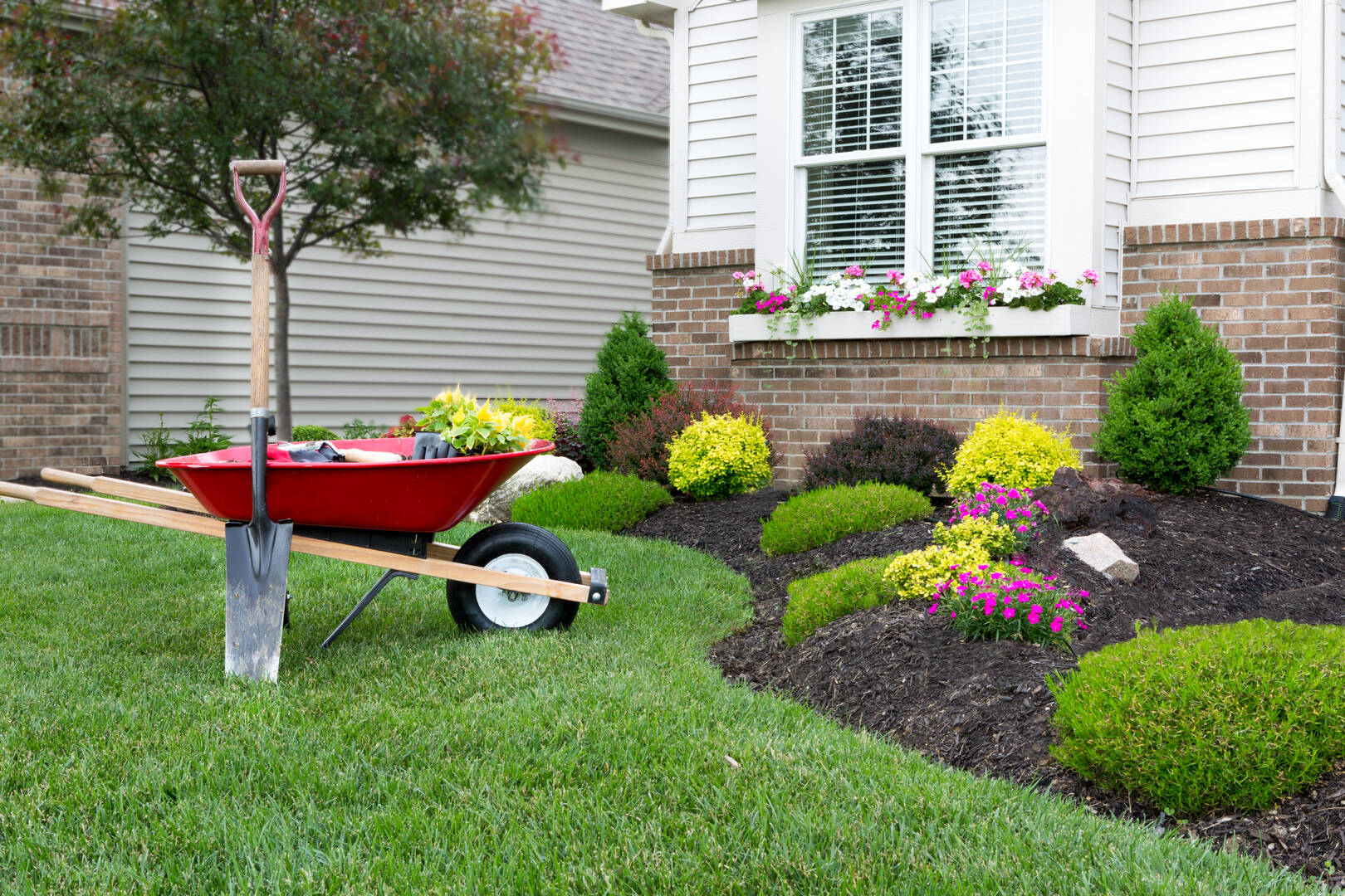 All Access Landscaping & Tree Service